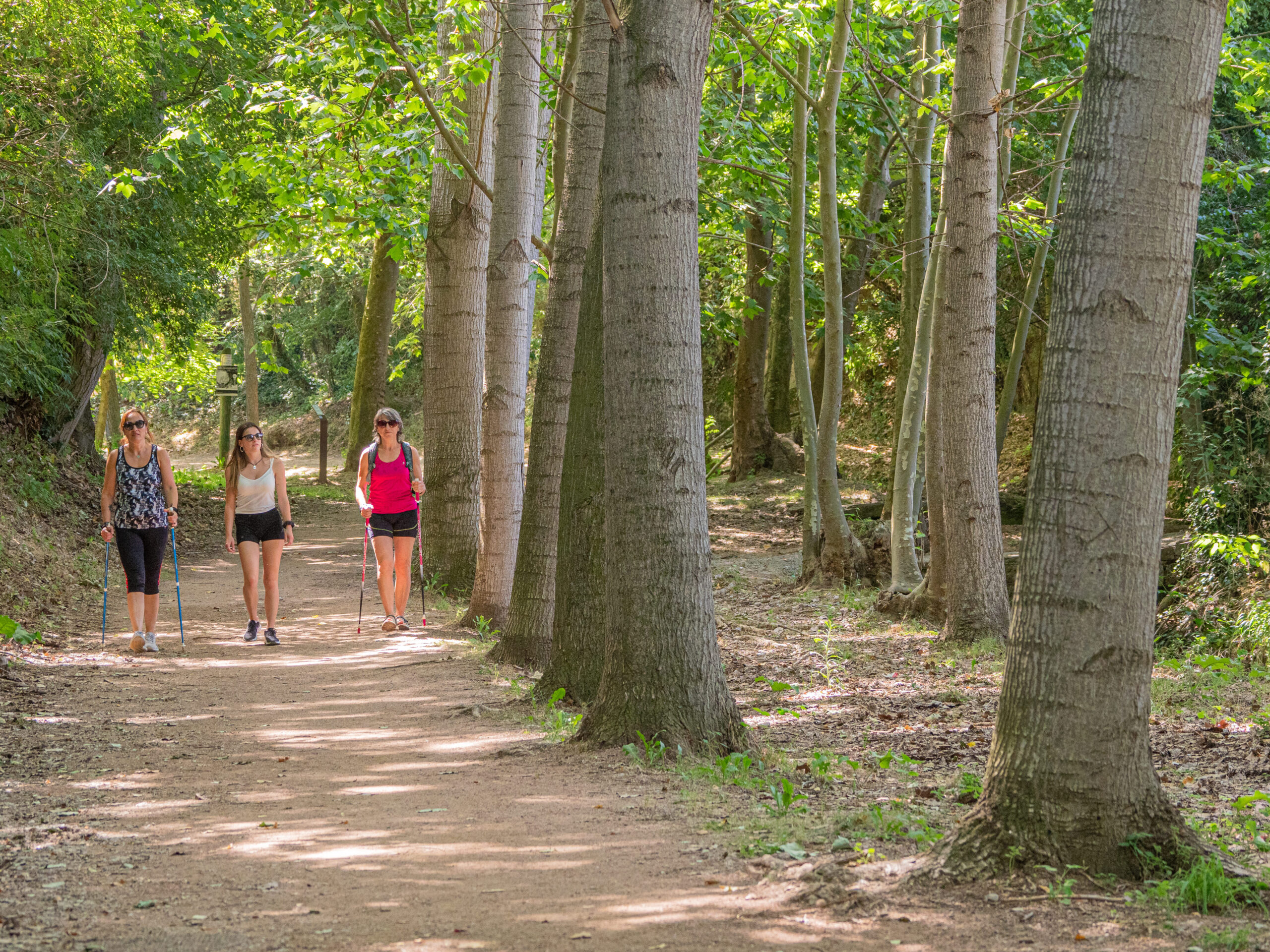 An Excursion For The Whole Family? We Recommend The Calldetenes Mills Route