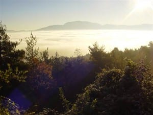 Voleu Descobrir Els Espais Naturals D’Osona? Tres Visites Obligades: Parc Natural Del Montseny, Castell De Montesquiu I Les Guilleries