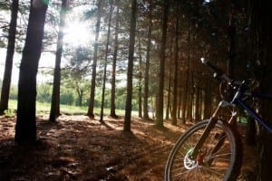 Vols Gaudir Del Ciclisme De Muntanya? Vine A “Pedala Pel Centre BTT Plana De Vic”