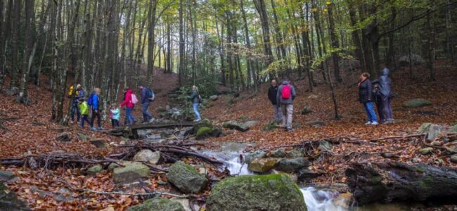 montseny