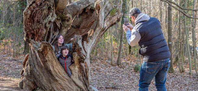 VILADRAU-0230- JORDI CABANES (1)