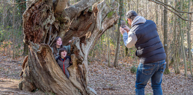VILADRAU-0230- JORDI CABANES (1)