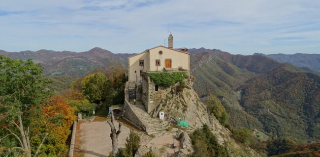 muntanyainatura_bellmunt-per-la-fageda_01