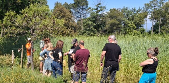 WhatsApp Image 2026-03-18 at 22.12.31