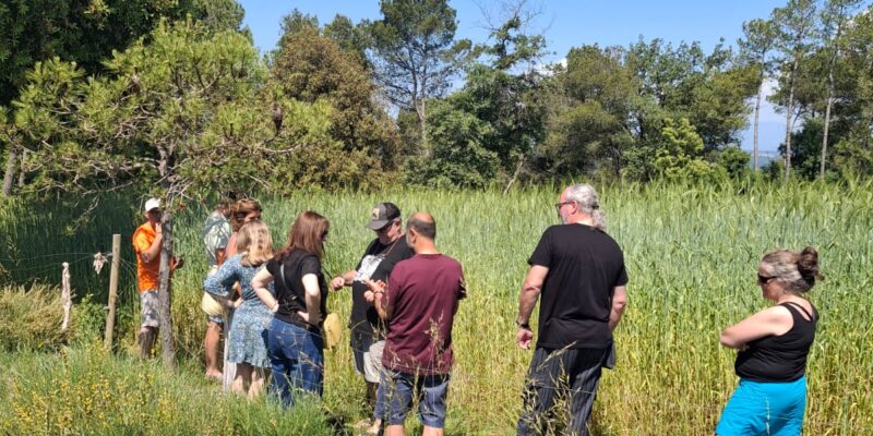 WhatsApp Image 2026-03-18 at 22.12.31